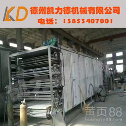 食品銷售行業的高效助手 大型網帶式干燥機廠家直銷